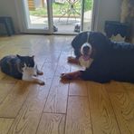 Anne Derosier - Facebook