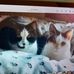 Anne Derr - Facebook