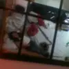 Anne Desiderio - @annedesiderio - TikTok