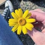 Anne deus - @annedeus6 - Instagram