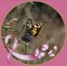 Anne Deville - Facebook