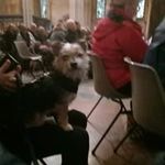 Ann Dexter - @ann.shawcross - Instagram