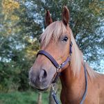 @annelois.dexter - Instagram