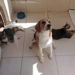 👑DEXTER  👑ANNE 👑 PHILIP 👑 - @dexter_anne_philip_s2 - Instagram