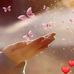Anne Dey - Facebook