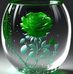 Anne Dey - Facebook