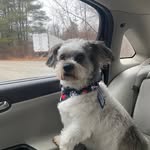 Ann DeYoung - @adeyoung0901 - Instagram