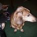 Anne Deyoung - Facebook