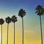 Annette DeYoung - @goldngrameez - Instagram
