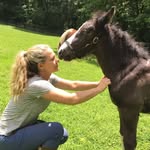 @annedickey4 - Instagram