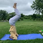 Anne Sarah Dickman | Montreal | Yoga - @yogannesarah - Instagram