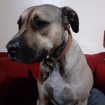 Anne Dignam - @annedignam - Instagram