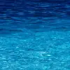 anna_dimmock - @anna_dimmock - TikTok