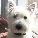 Anne Dingwall - Facebook