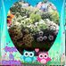 Annemarie Dinkel - Facebook