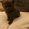 annedoran666 - @annedoran666 - TikTok