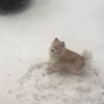 Anne Dougherty - @annedougherty1 - Instagram