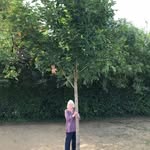Anne Downer - @anne.downer.58 - Instagram