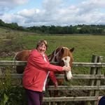 Anne Downes - @anne.downes.583 - Instagram