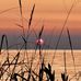 Ann Dowell - Facebook