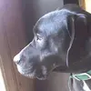 annedrake3 - @anne.drake - TikTok