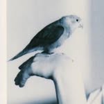 Anne-Claire Dufour - @anneclairedufour - Instagram