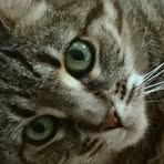 Anne Dufour - Facebook