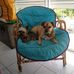 Dubois Anne - Facebook