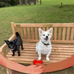 Jo-Anne Dunlop O'Hara - @joanne.d.ohara - Instagram