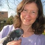 Anne Carolyn Dunning - @annecarolyndunning - Instagram