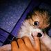 Anne Duque - Facebook