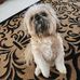 Ann Durham - Facebook