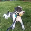 Ann Durham - @ann.durham3 - TikTok