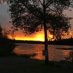 Anne Dyck - Facebook