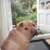 Anne Dyson - @anne.dyson7 - TikTok