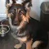 Anne Dyson - @user950692716481 - TikTok