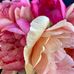 Anne Eagle - Facebook