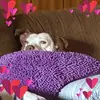 Anne Earls - @anne.earls - TikTok