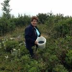 ann earle - @ann.earle - Instagram