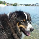 Anne Earle - @anneearle60 - Instagram