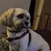 anneearley635 - @anneearley635 - TikTok