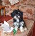 Anne Earley - Facebook