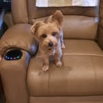 Anne Earley Baumgart - @anneearleybaumgart - Instagram