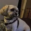 anneearley635 - @anneearley635 - TikTok