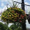 Anne Eason770 - @aweason - TikTok