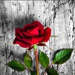 Anne Eason - @easonanne824545 - Instagram