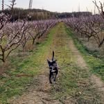 Anne-Laure Eberhardt - @nonore2673 - Instagram