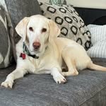 Anne-Marie Eberhardt - @ameberhardt - Instagram