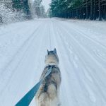Anne Lohmar Ebert - @annelohmar - Instagram