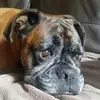 Ann Eccles - @ann.eccles - TikTok